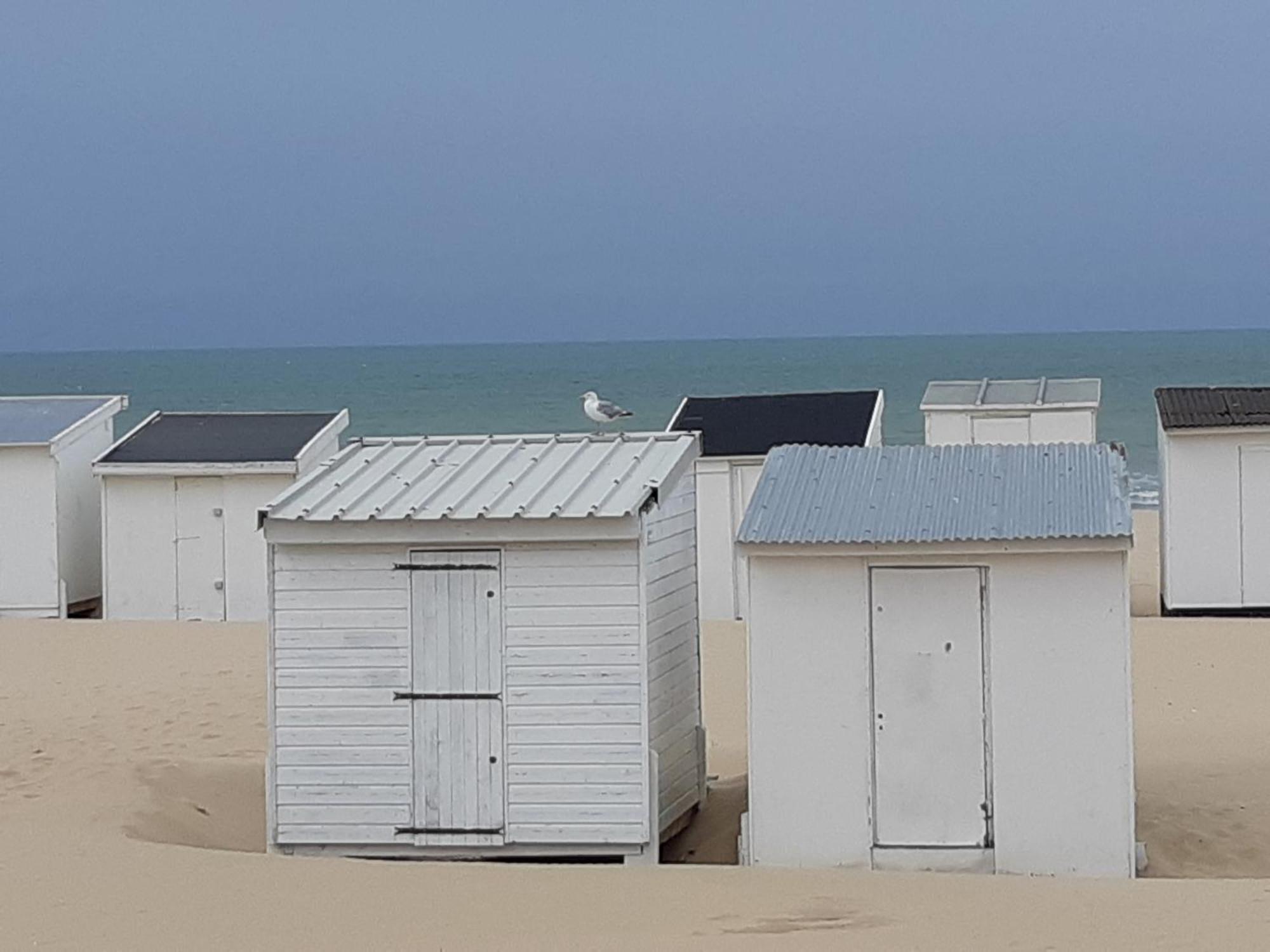 Calais Plage - Magnifique Studio - Front De Mer 外观 照片